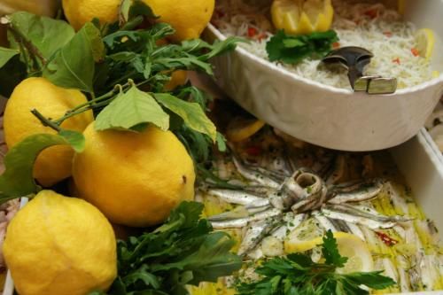 Aquila Nera Di Tony 2