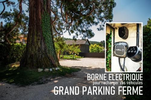 HOTEL DES DAUPHINS 2