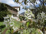 Natur Pur Hotel Unterpichl