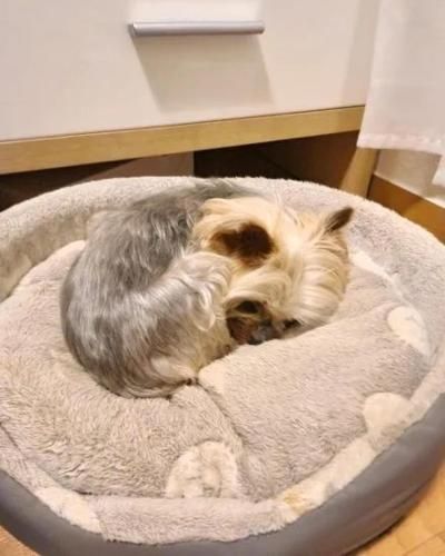 Hotel Ferienhaus Fux 3