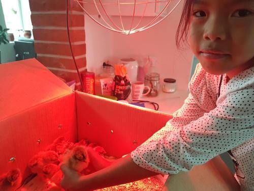 Bästekille Gårdshotell 4 étoiles à Kivik