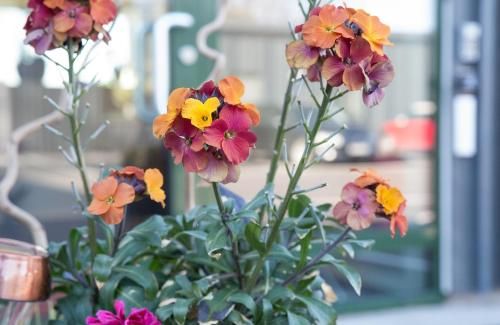 Hotell Eken Mölndal 3