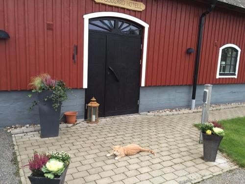 Ramsjögård Hotell 2