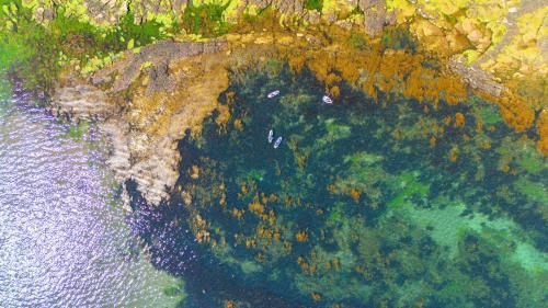 Waters Edge Hotel Torquay 2