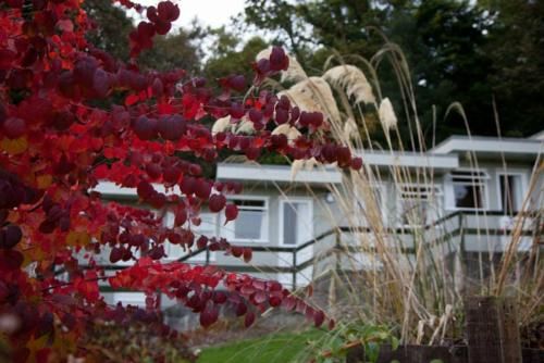 The Arran Lodge & Arran Sleep Huts 3