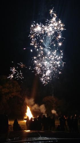 The Golden Lion Inn 3