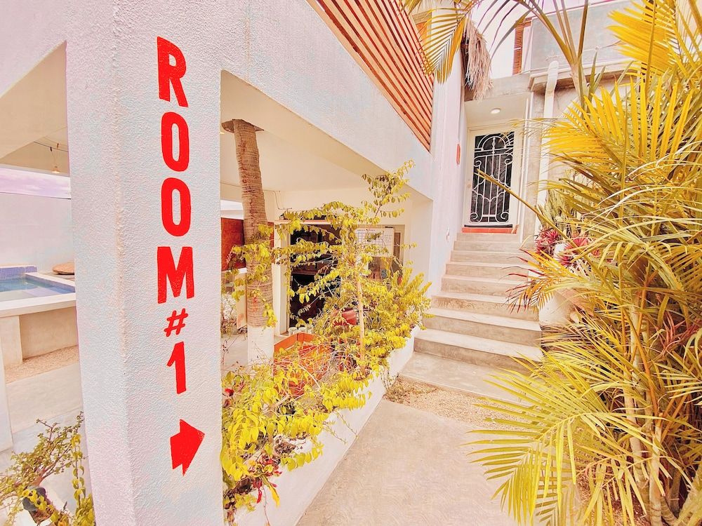 Perro Surfero Hotel Boutique - Todos Santos, BCS 3