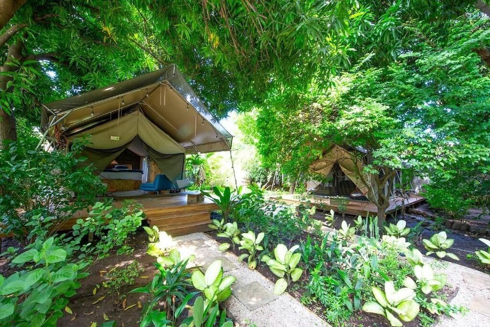 Curiol Boutique Hotel & Lounge 2