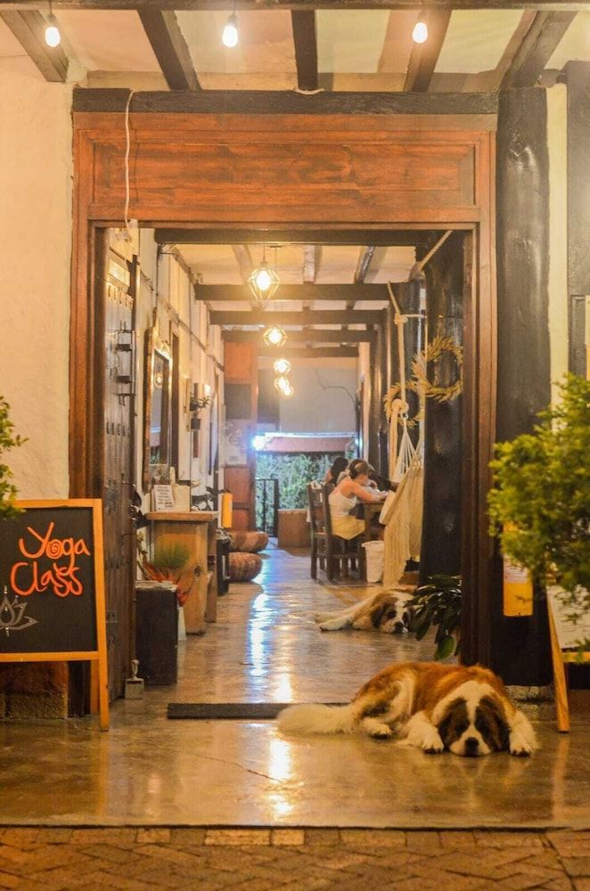 Coffee Tree Boutique Hostel 2