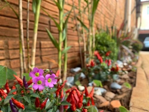 HOTEL POUSADA POR DO SOL 3