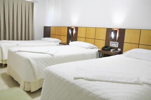 Dois Vizinhos Palace Hotel 2