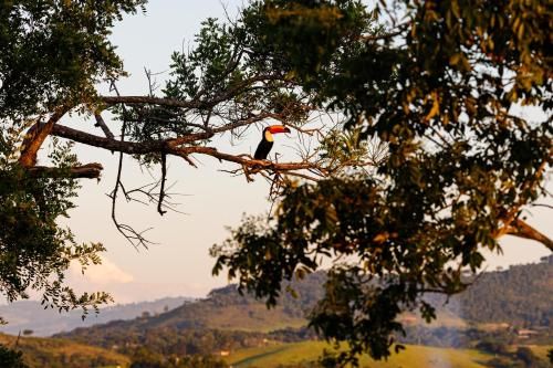Hotel Morro De Santo Agostinho 2