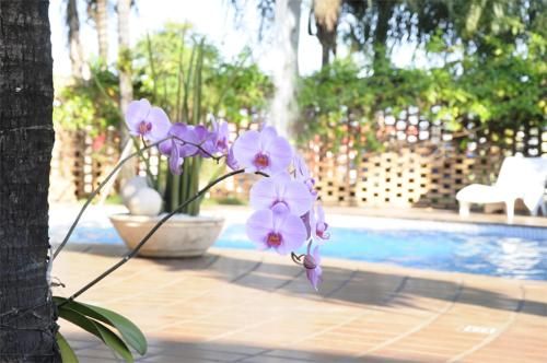 Vila Romana Park Hotel 3