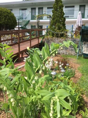 Hotel-Motel Les Voitures d'Eau 3