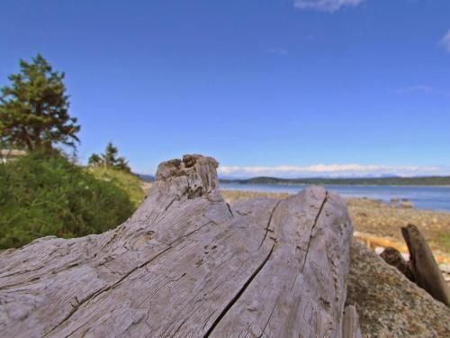 Heron's Landing Hotel 3