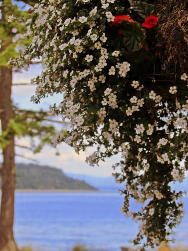 Heron's Landing Hotel 2