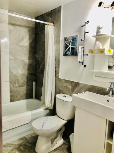 Hôtel Motel Le Beluga 3