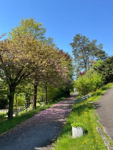 Hôtel Centre Saint-François 2