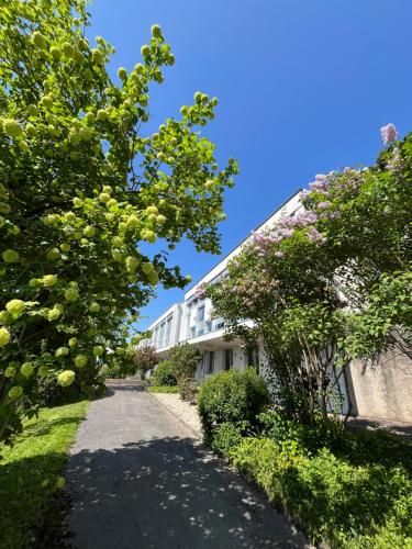 Hôtel Centre Saint-François 3