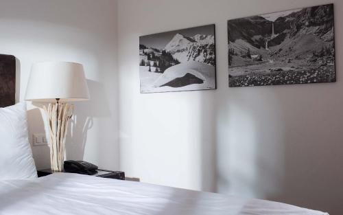 Hotel des Alpes Superieur 2