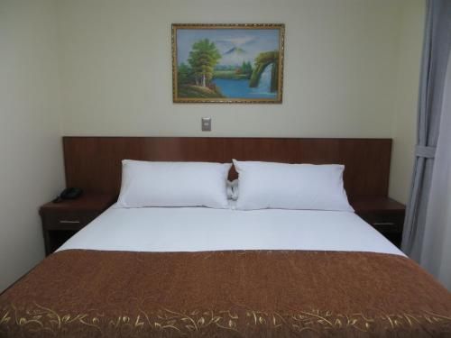 Hotel Newen 3