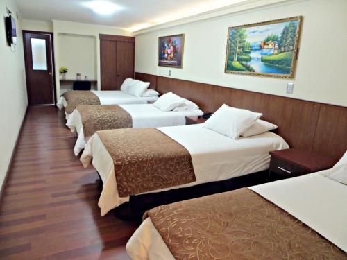 Hotel Newen 1