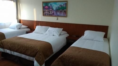 Hotel Newen 2