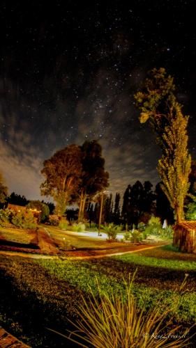 Hotel Boutique Raíces de Colchagua 2