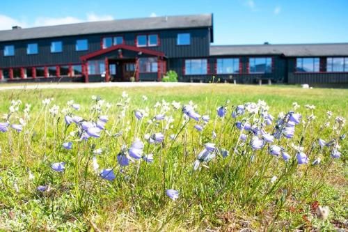 Høvringen Fjellstue 3