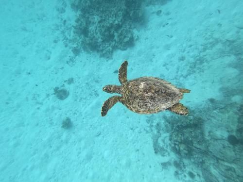 Sky View by Relax Tours 3