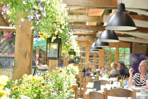 Canyon Matka Hotel 3