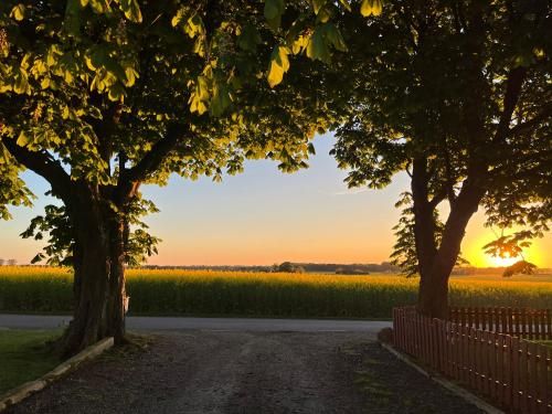 Sydkustens at Lillehem 3