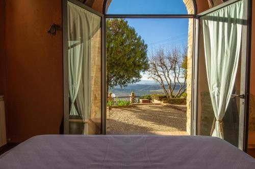 Fattoria di Cinciano 3