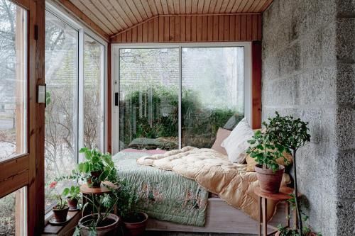 The Dell of Abernethy - A Woodland hideaway 3