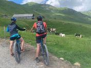 Chalet Montriond - Bike & Ski