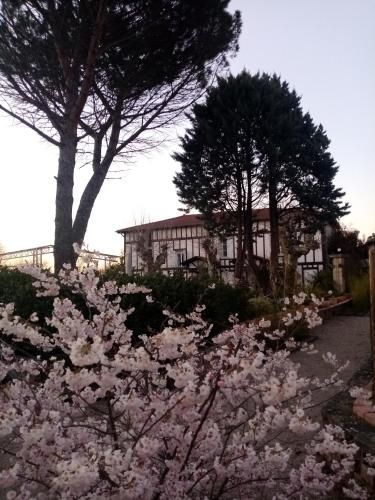 Hostelry Music Repetition 2