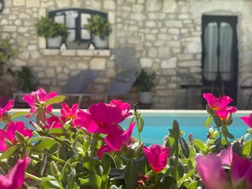 Maison d'hôtes Payan Champier 3