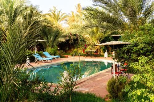 Riad Zagora Palms 2