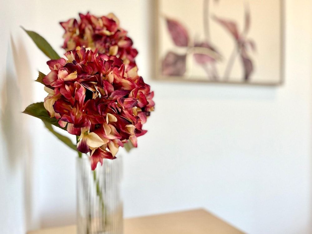 Apartment in Motril Near Playa Beach 3