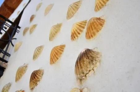 Antigua Bodega Las Conchas 1