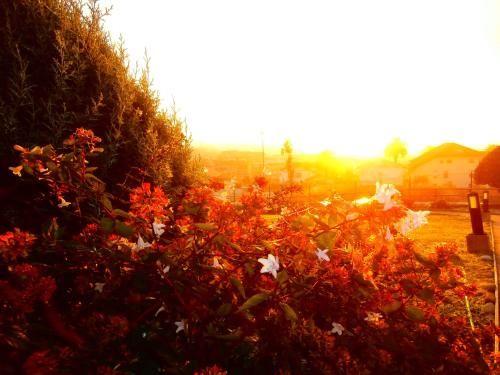 Casa Rural Telleri 2