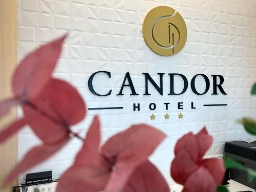 HOTEL CANDOR 2