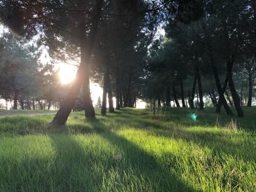 Hotel Alda Guijuelo 3