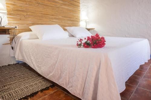 Casa Rural Aloe Vera 1