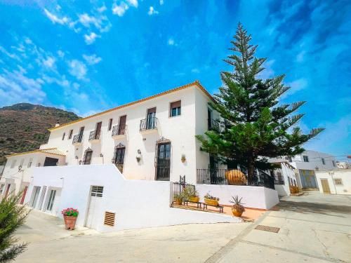 HOTEL MUSEO Lucainena 1