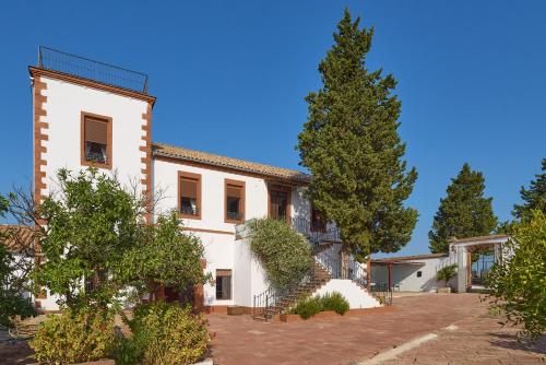 Molino Los Cardenes 1911 3