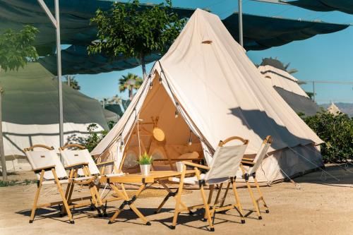 Kampaoh Crevillent 1