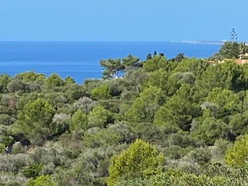 Holiday Home Finca SANT JAUME 3