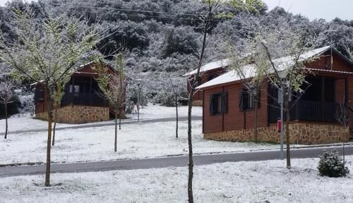 Kampaoh Cabañeros 2