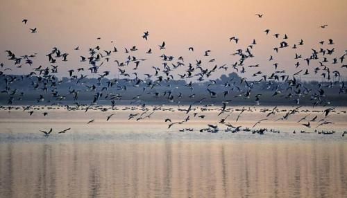 Las Banderas 3 estrelas em Villafranca de los Caballeros